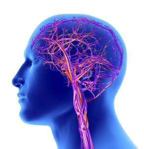脑血管出血的临床表现和TCD表现